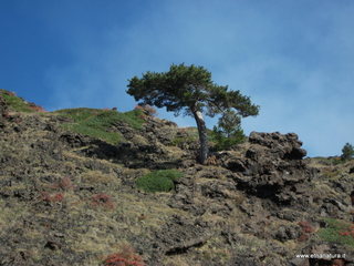 Monte_Nero_degli_Zappini - 08-11-2012 10-47-23.JPG